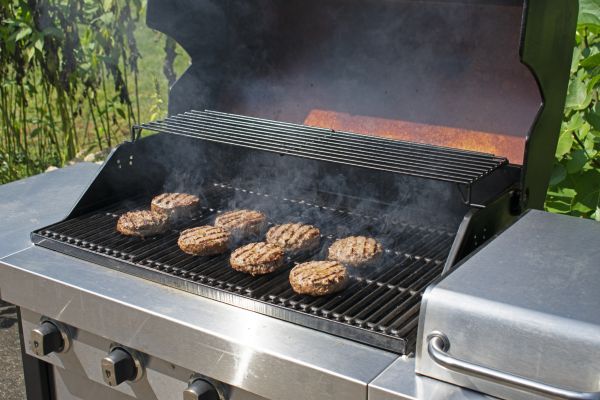 Grill Assembly